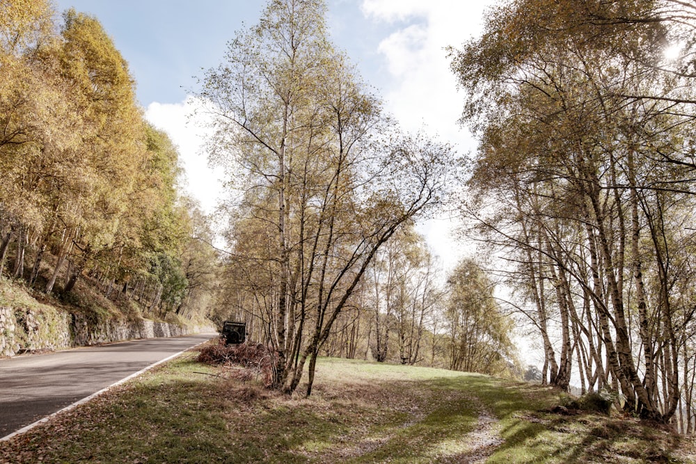 a car driving down a road next to a forest