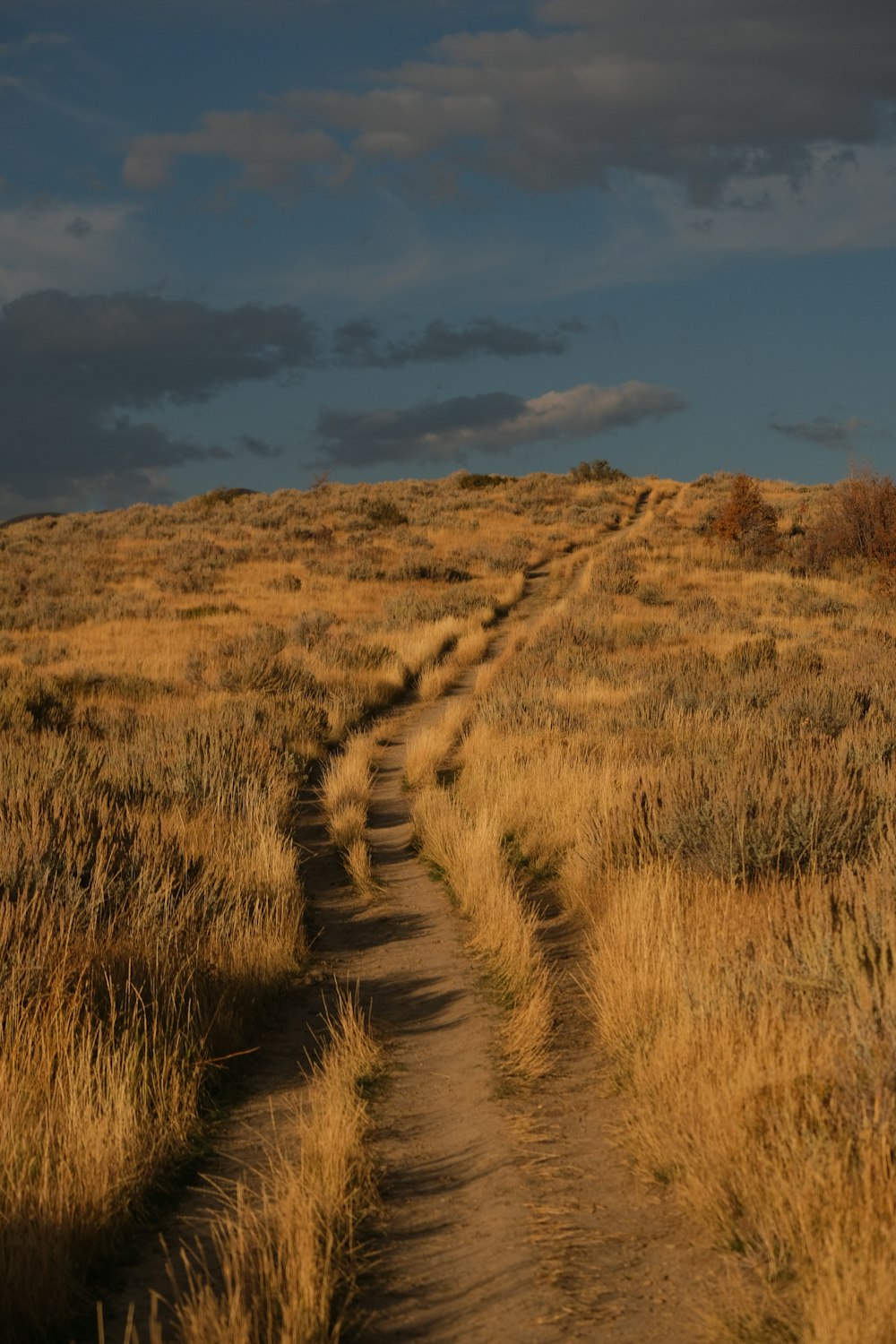 a dirt path in the middle of a dry grass field