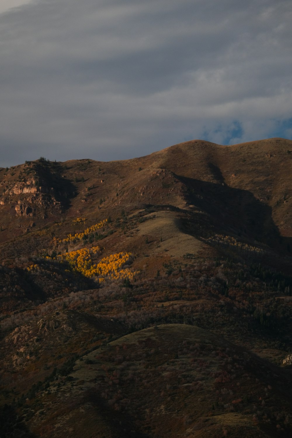 a view of a mountain range with yellow trees in the foreground
