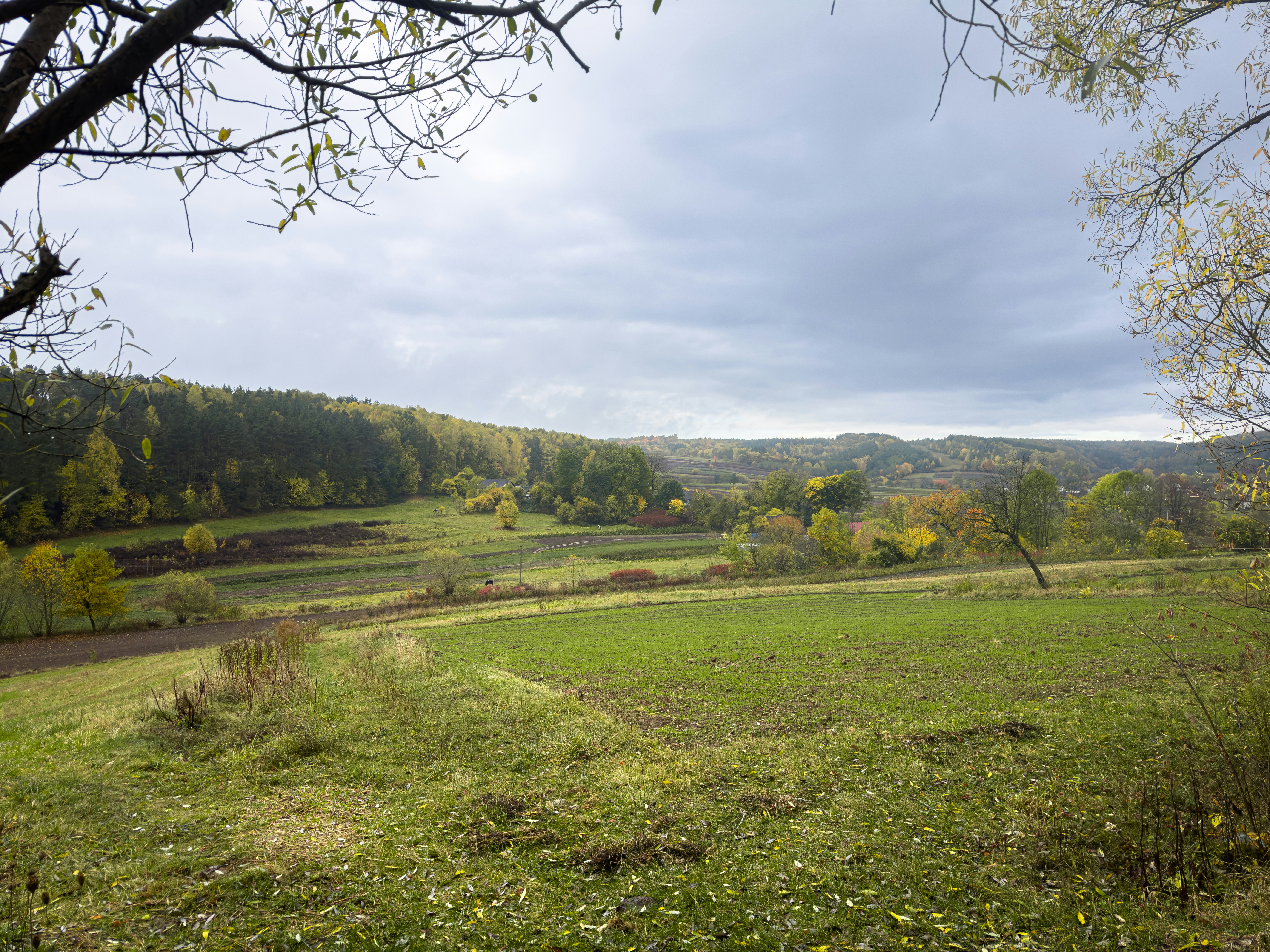 Photo by viktorsmoliak