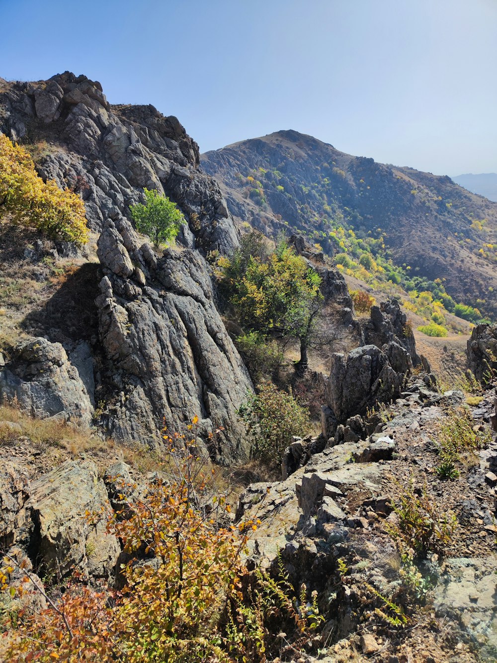 a view of a rocky mountain with trees and bushes