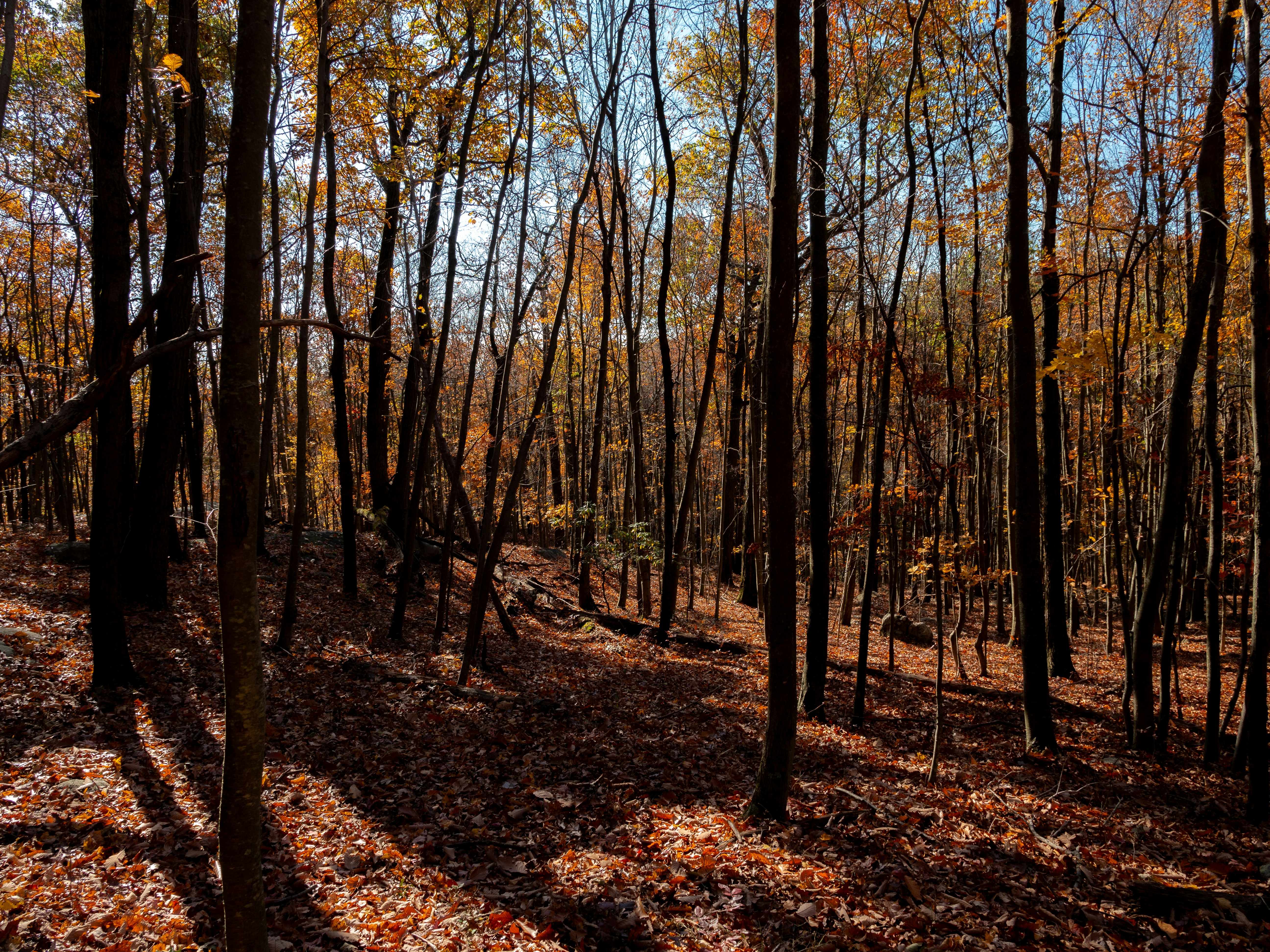 Photo by gabrielalmanzar