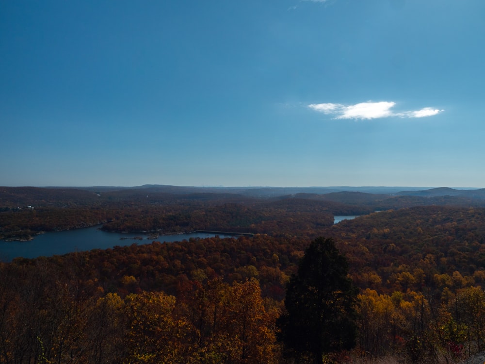 a scenic view of a lake surrounded by trees