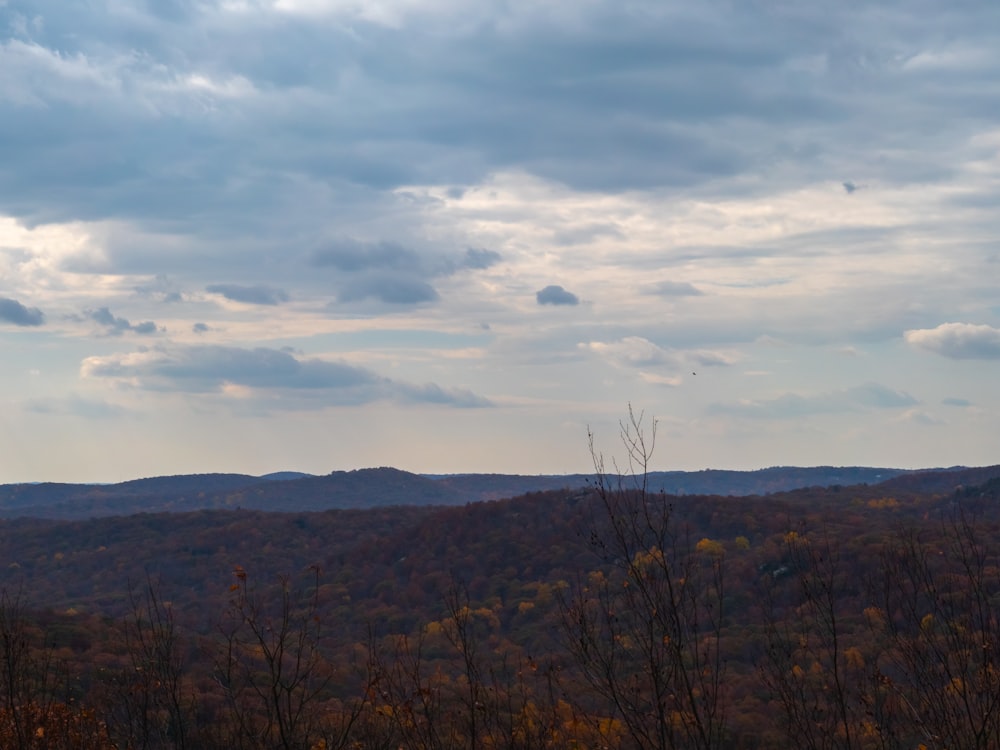 a view of a mountain range with trees in the foreground