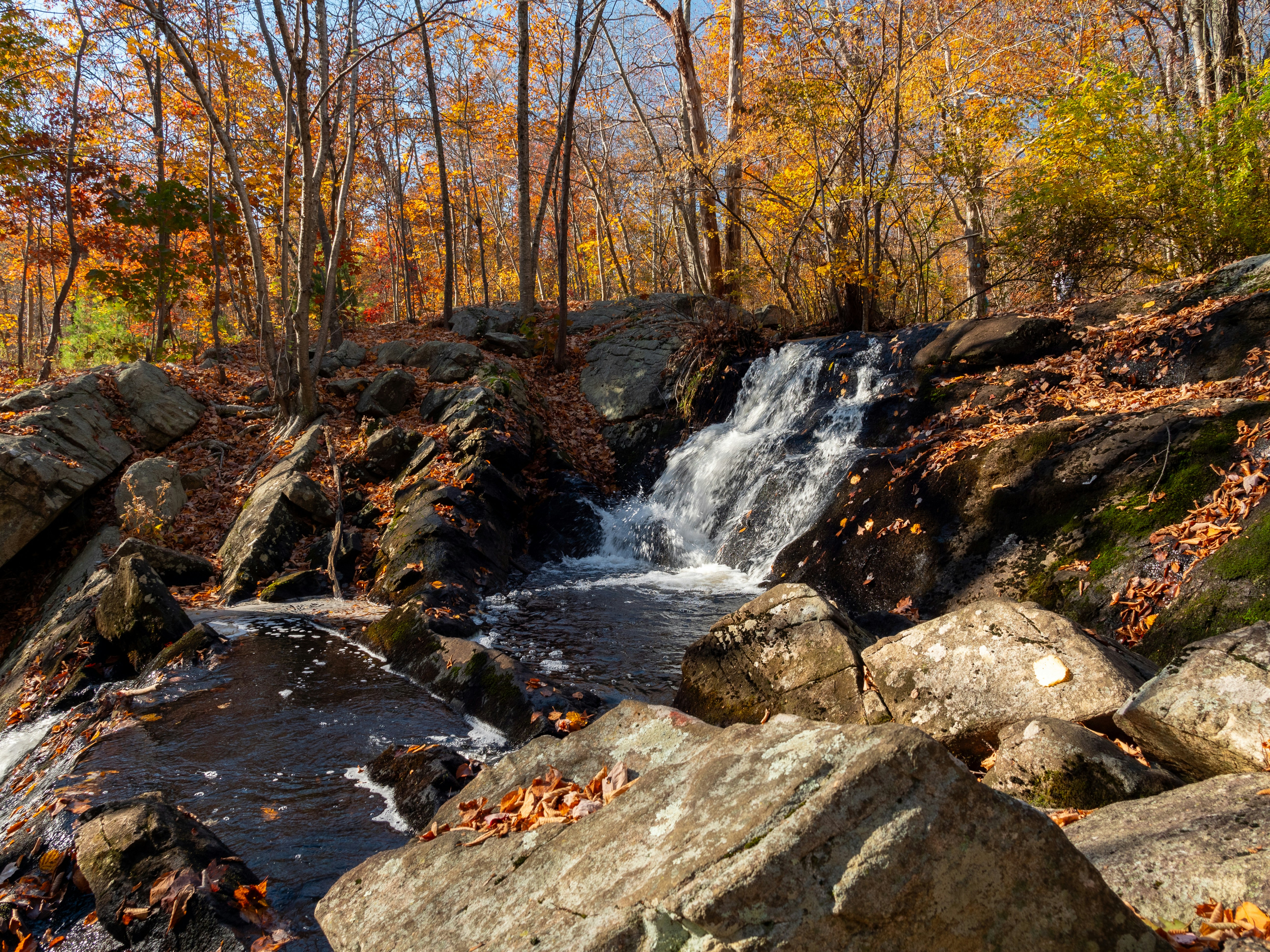 Photo by gabrielalmanzar