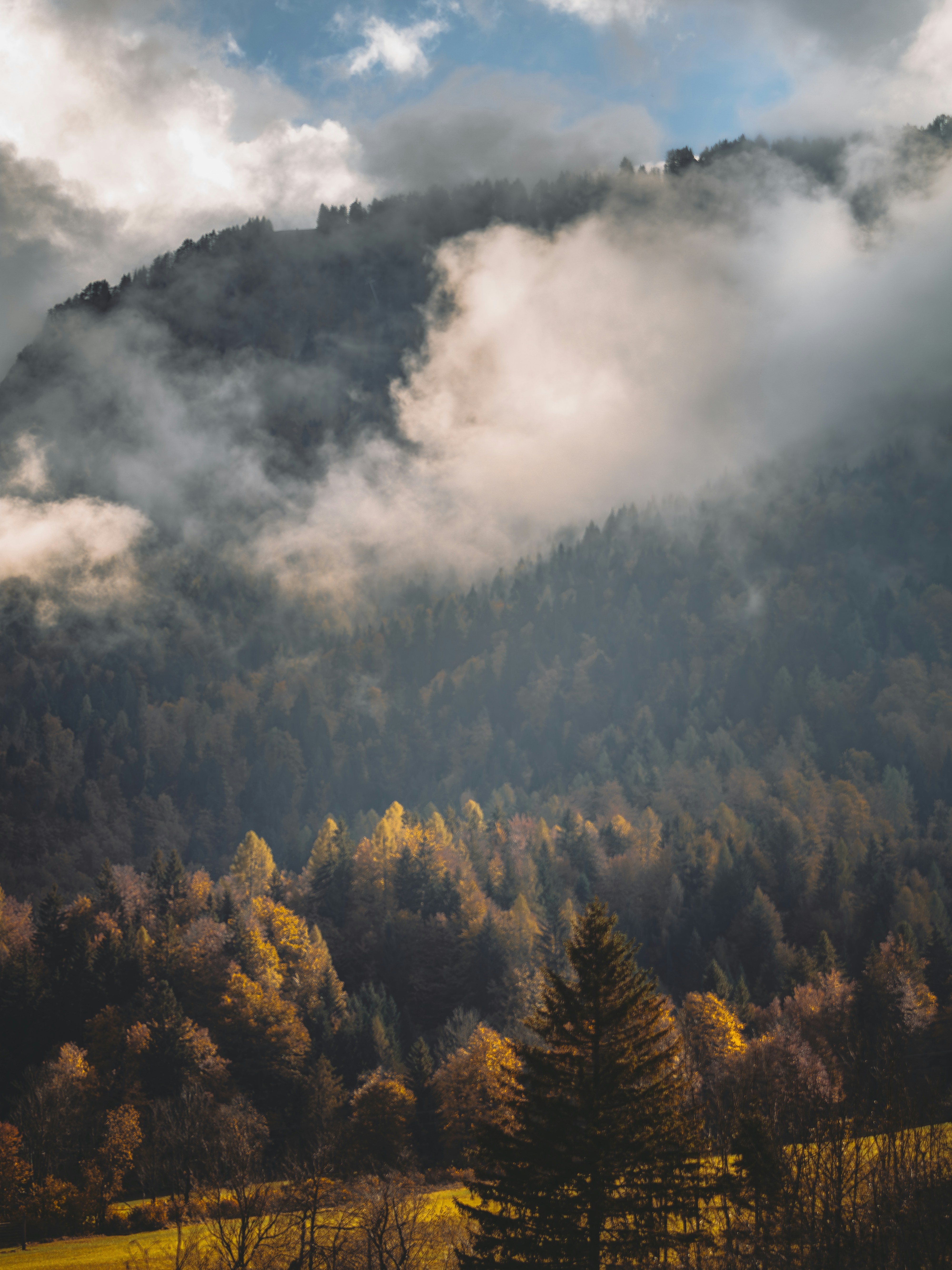 Photo by merlin_photo