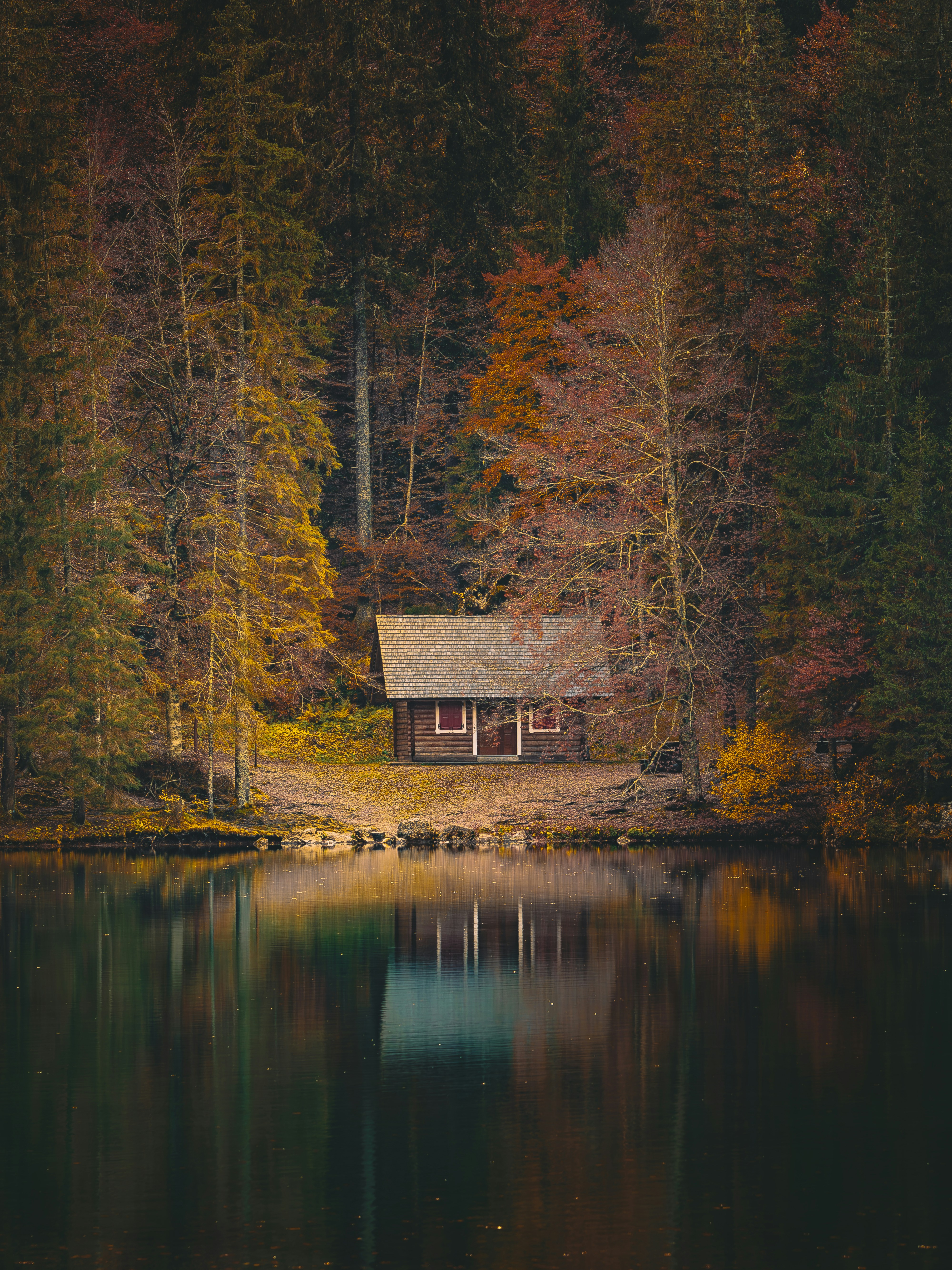 Photo by merlin_photo