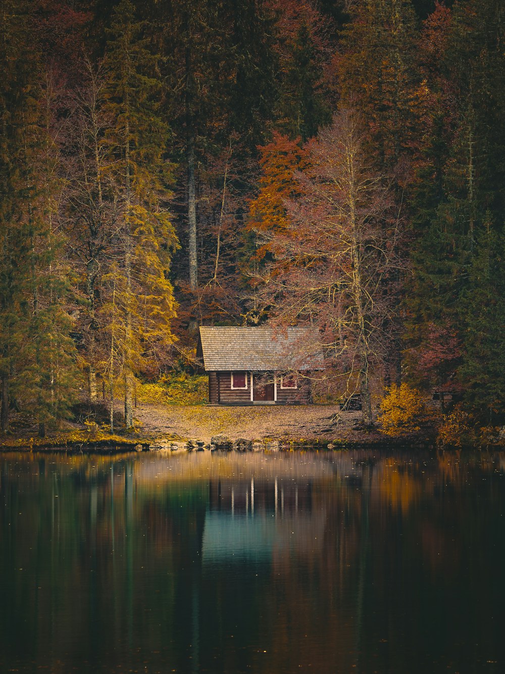 a cabin on a lake surrounded by trees