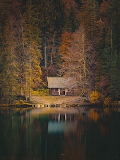 A small wooden cabin is nestled amidst dense autumn trees, with the forest reflecting on a still, serene lake in the foreground. The surrounding foliage features rich, earthy tones, creating a harmonious and cozy atmosphere.