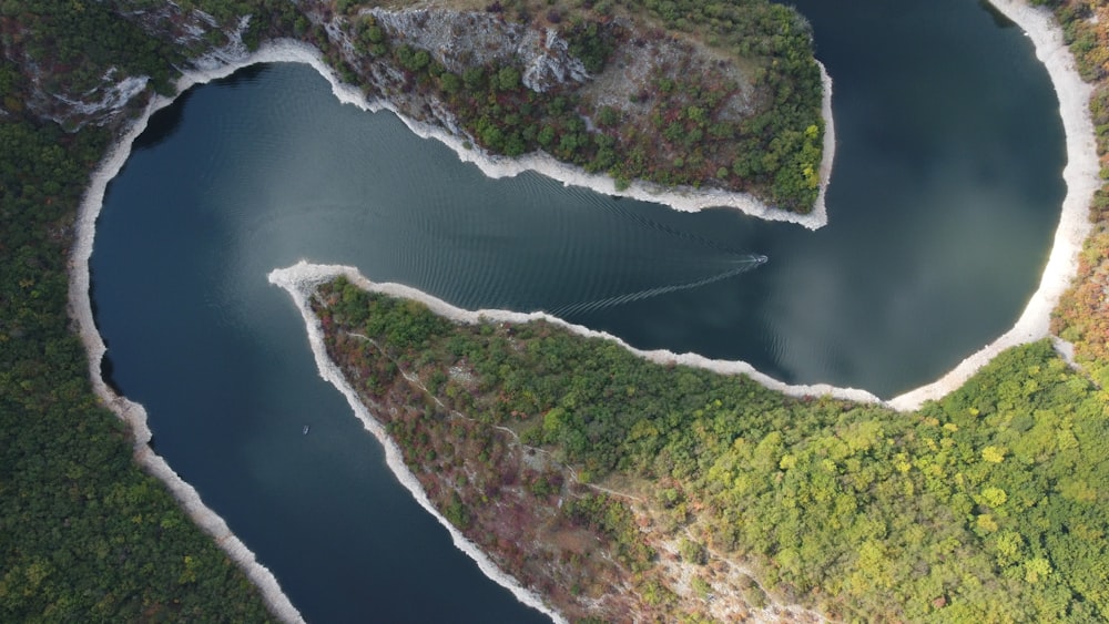 a large body of water surrounded by lush green trees