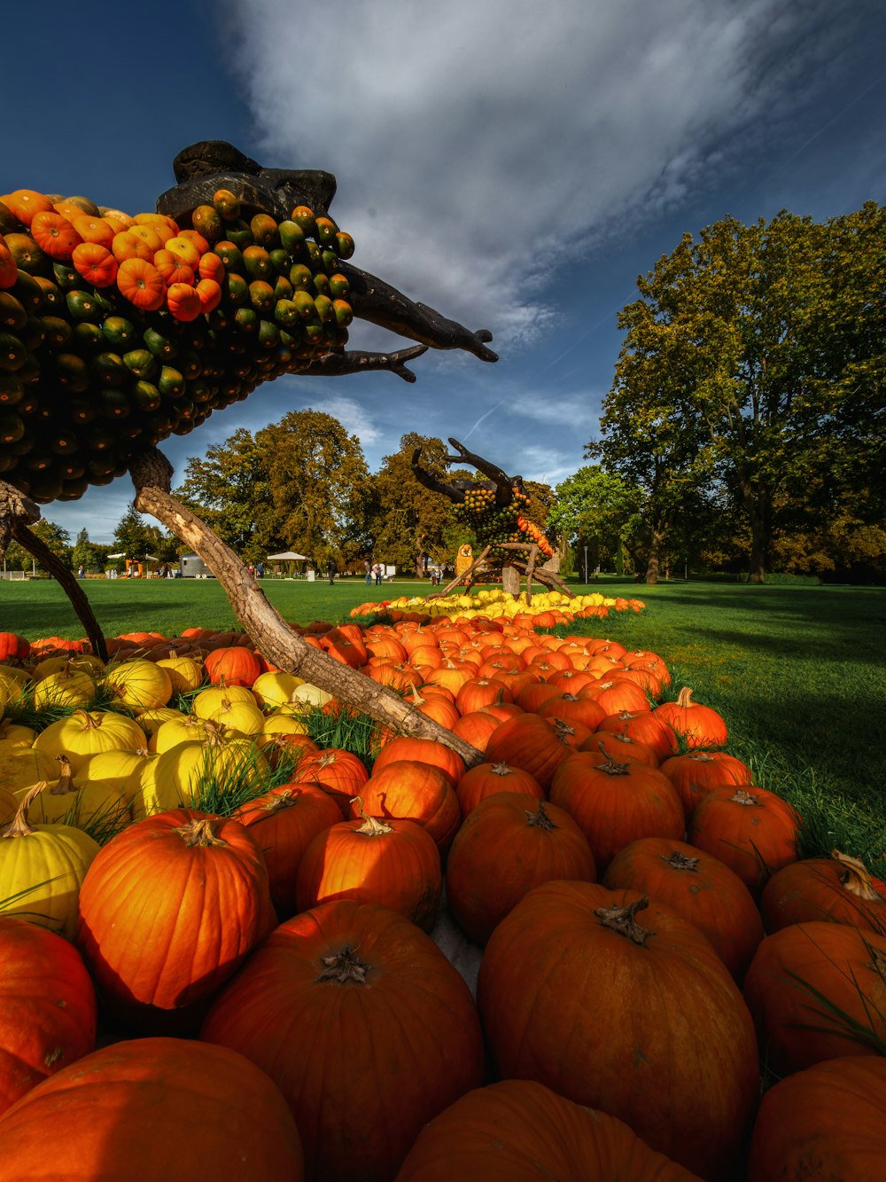 a display of pumpkins and gourds in a field