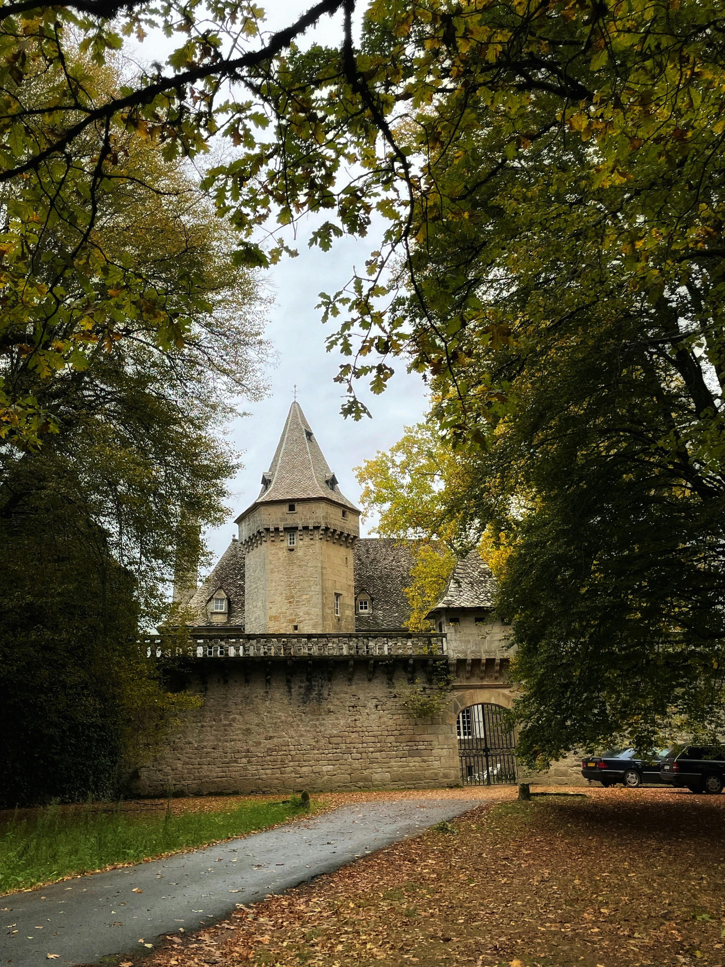 Photo by henri0019