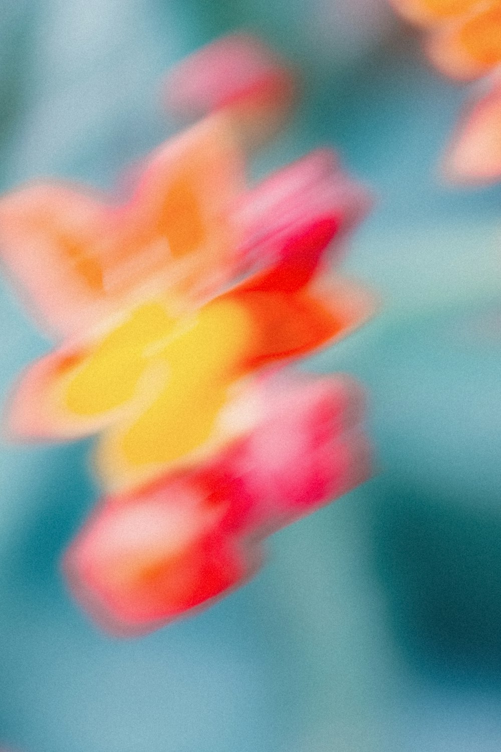 a blurry photo of a bunch of flowers