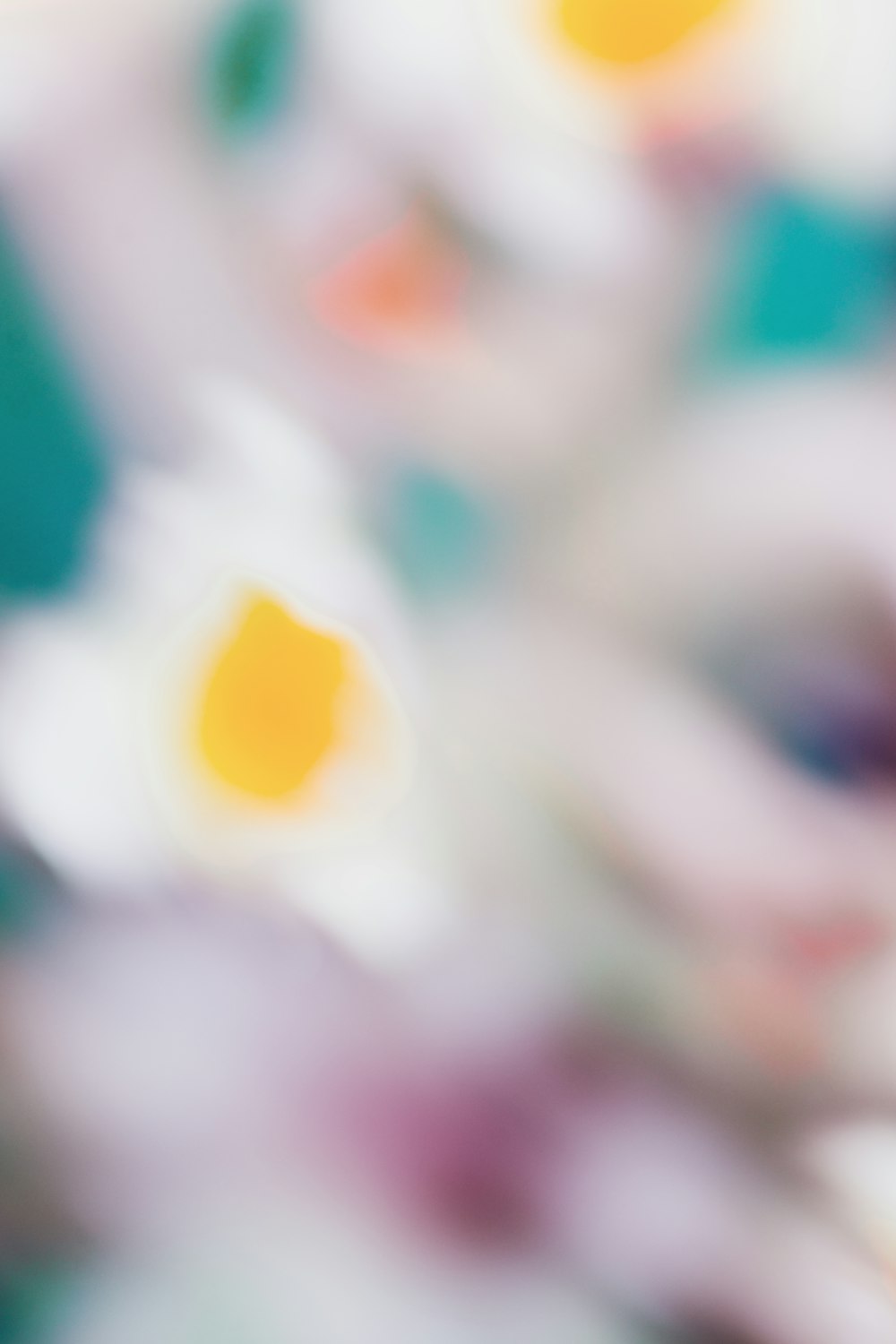 a blurry photo of a flower with a blurry background