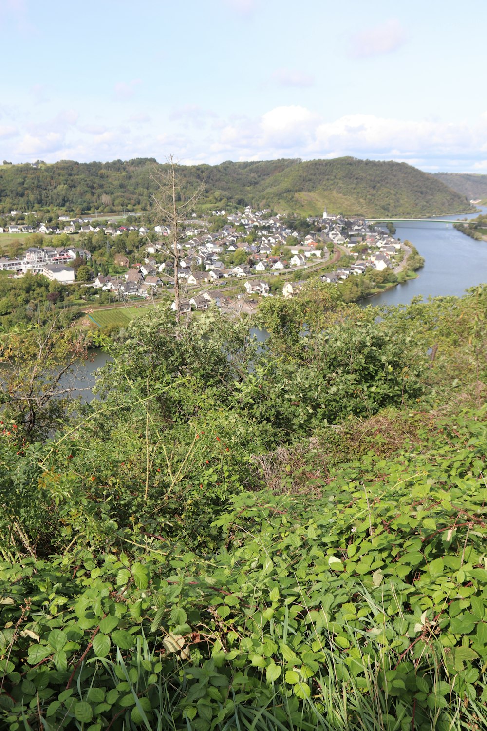 a view of a town and a river from a hill