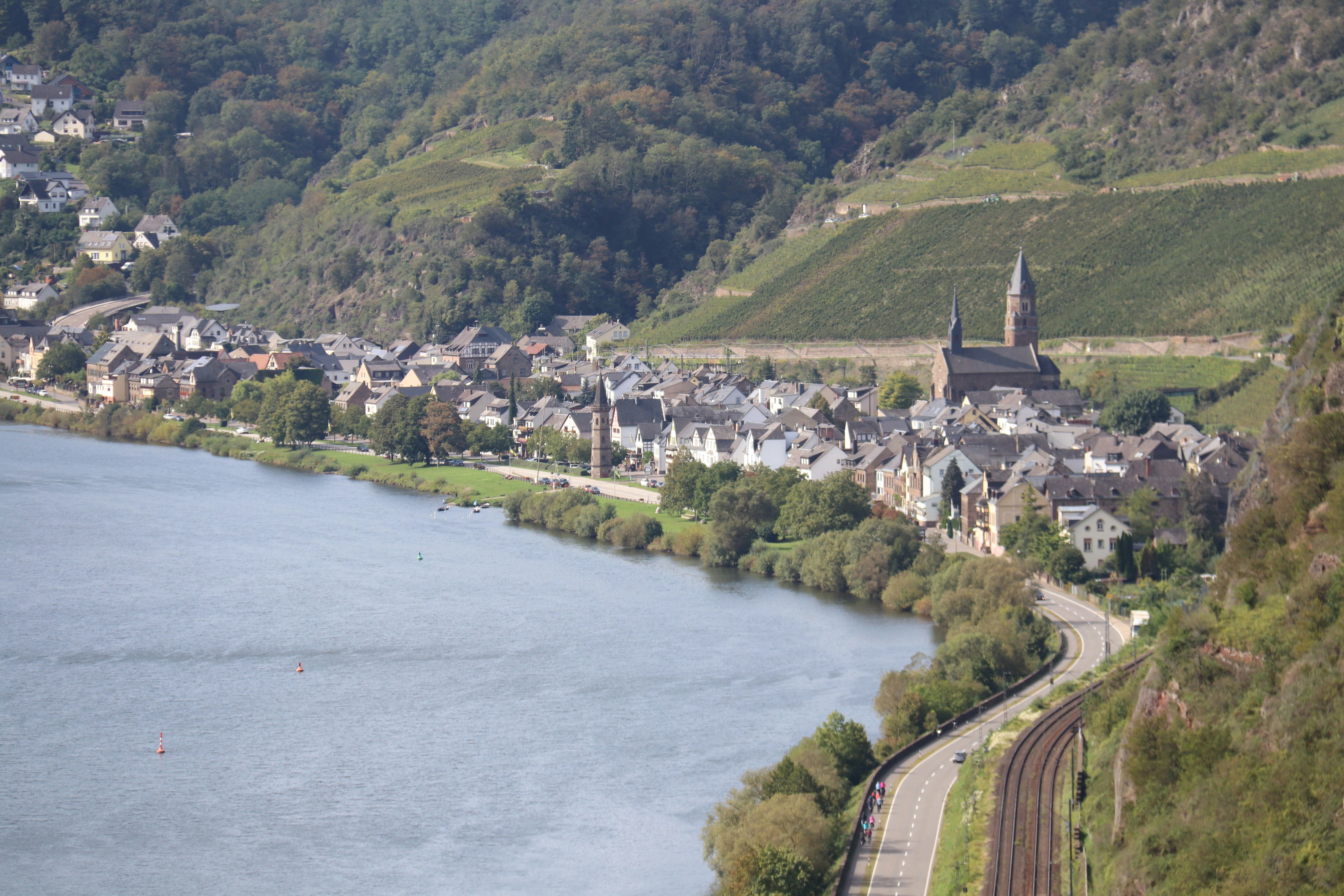 Photo by shalevcohen