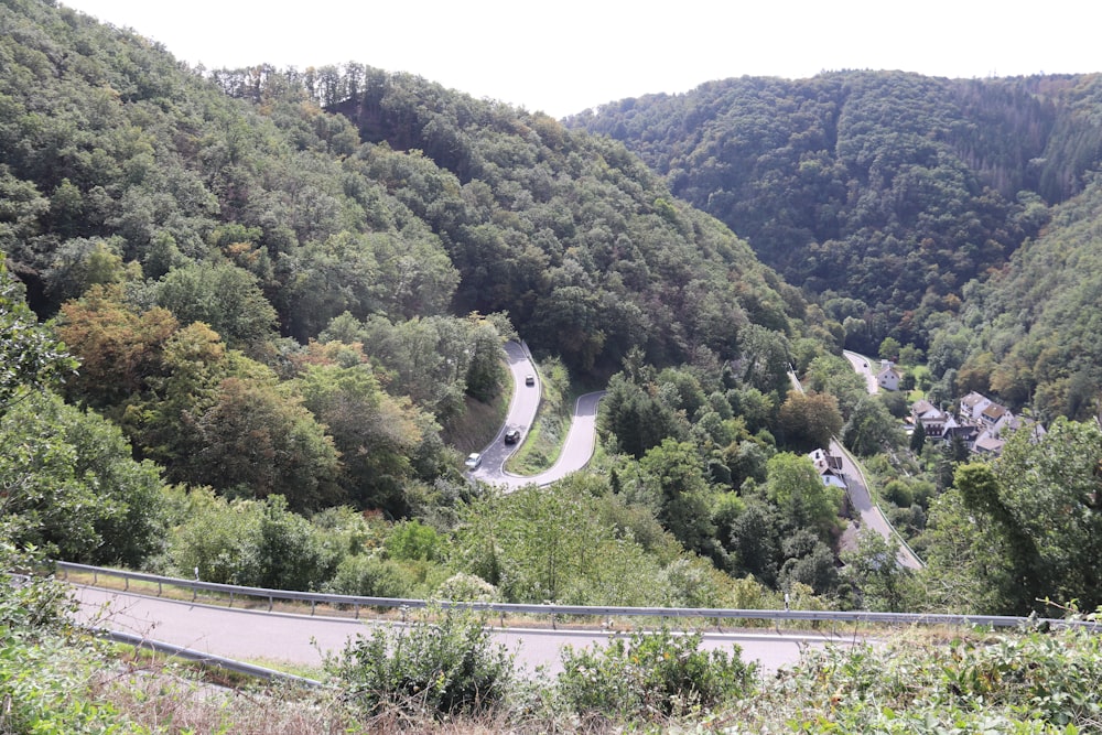 a winding road in the middle of a forested area