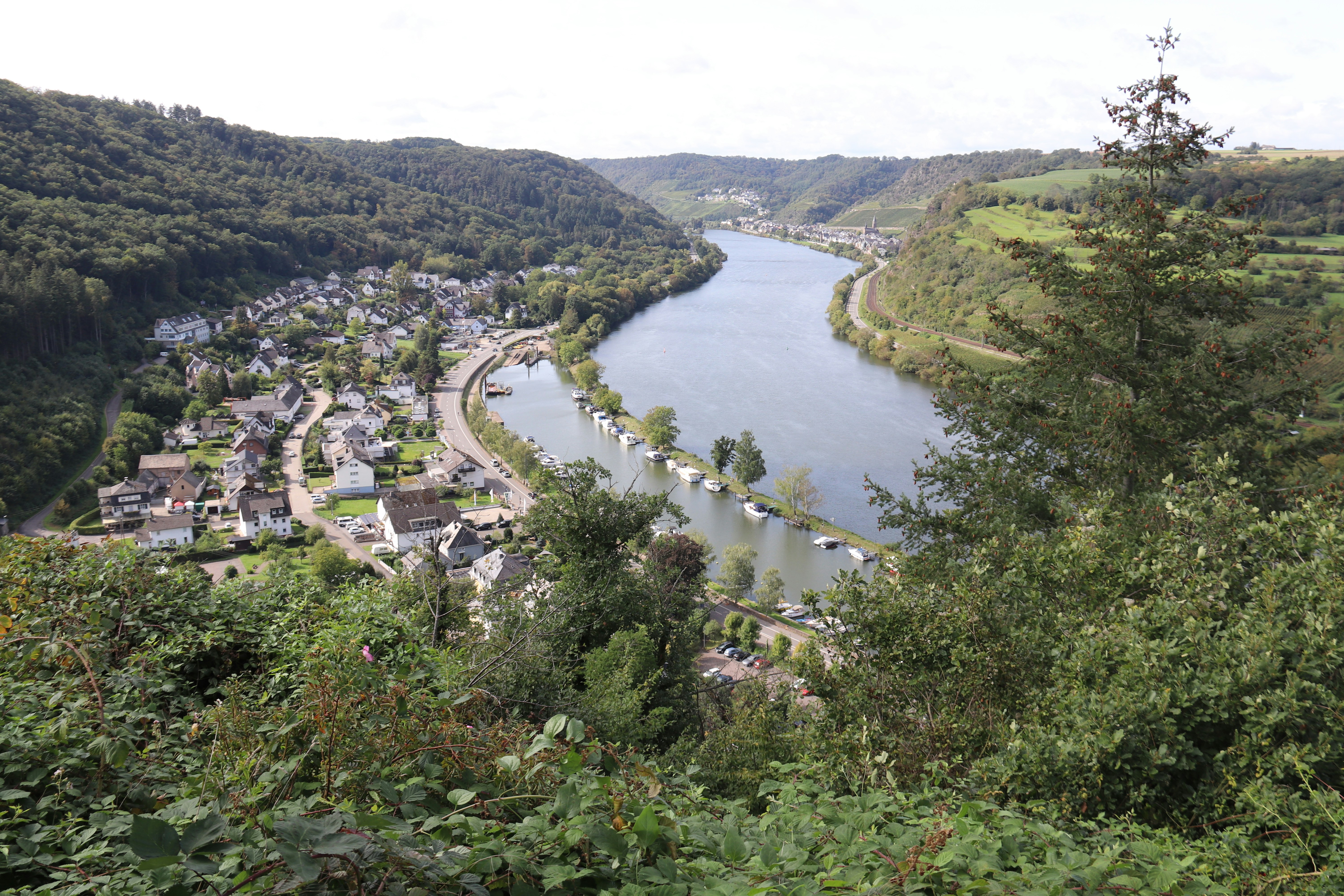 Photo by shalevcohen