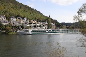 A large, modern river cruise ship sails along a wide river with a backdrop of a quaint village nestled against lush green hills. The village features traditional European architecture with houses and buildings displaying a mix of pastel and neutral colors. Trees and foliage surround the area, adding to the picturesque nature of the scene.