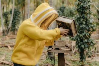 A person wearing a yellow beekeeping suit with a protective mesh hood is handling a beehive. They appear to be inspecting or working with the hive, which is mounted on a wooden stand in a natural, outdoor environment with trees and lush greenery in the background.