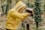 A person wearing a yellow beekeeping suit with a protective mesh hood is handling a beehive. They appear to be inspecting or working with the hive, which is mounted on a wooden stand in a natural, outdoor environment with trees and lush greenery in the background.