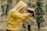 A person wearing a yellow beekeeping suit with a protective mesh hood is handling a beehive. They appear to be inspecting or working with the hive, which is mounted on a wooden stand in a natural, outdoor environment with trees and lush greenery in the background.