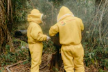 A hornet nest safely removed by trained volunteers in a summer forest setting.