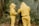 Two individuals in yellow protective bee suits are working in a natural, wooded setting. They are focused on an open hive, engaging in beekeeping activities. The dense greenery of the forest surrounds them, with leaves and branches visible.