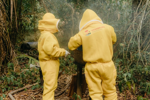 Dois indivíduos em trajes amarelos de proteção contra abelhas estão trabalhando.