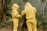 Two individuals in yellow protective bee suits are working in a natural, wooded setting. They are focused on an open hive, engaging in beekeeping activities. The dense greenery of the forest surrounds them, with leaves and branches visible.