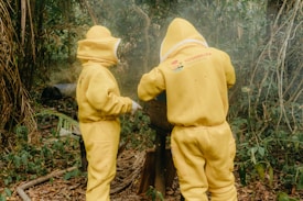 Two individuals in yellow protective bee suits are working in a natural, wooded setting. They are focused on an open hive, engaging in beekeeping activities. The dense greenery of the forest surrounds them, with leaves and branches visible.