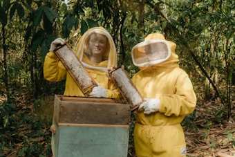 Two individuals in protective beekeeping suits hold honeycomb frames near a beehive box in a wooded area. The surrounding environment is lush with green foliage.