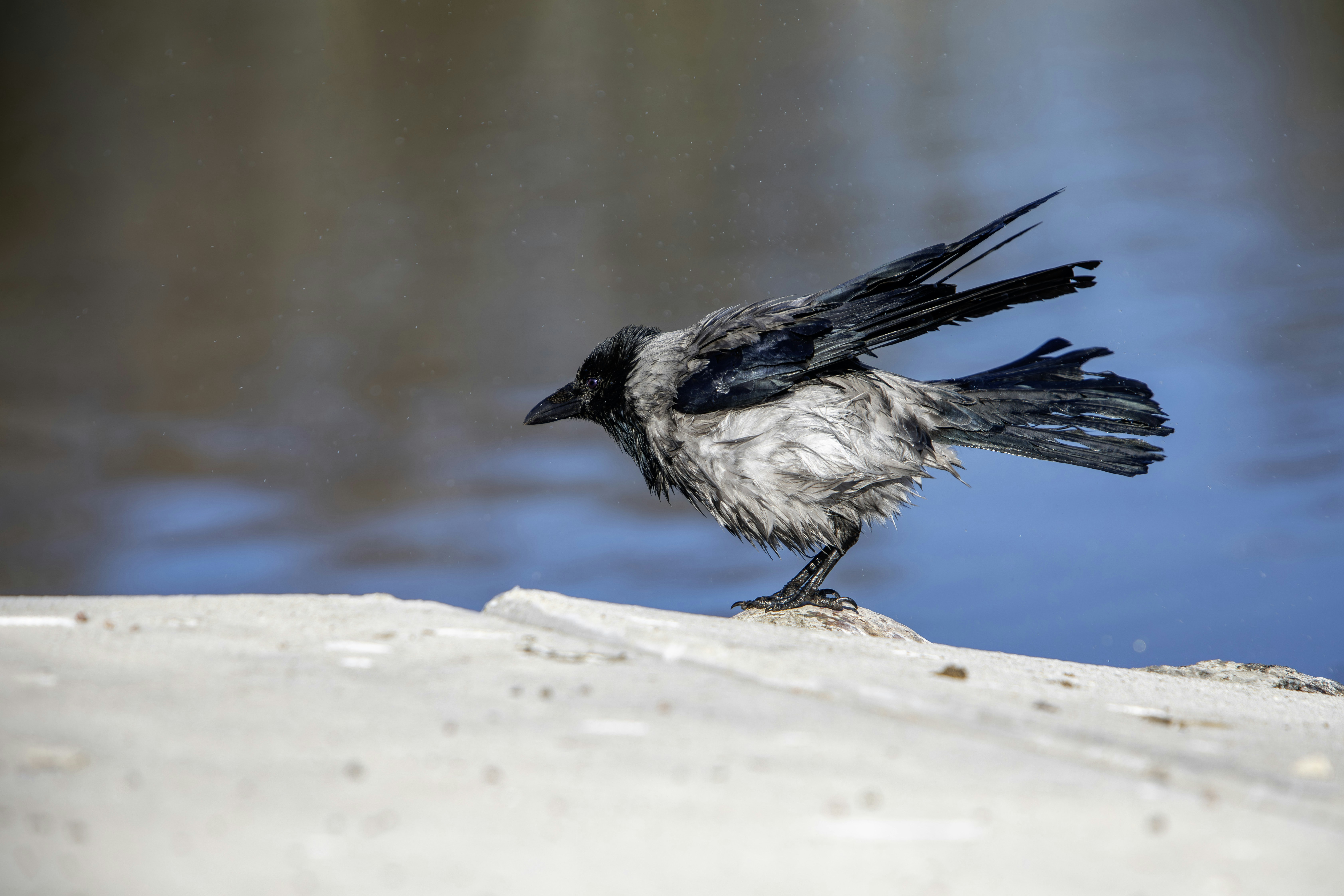 Photo by erik_karits