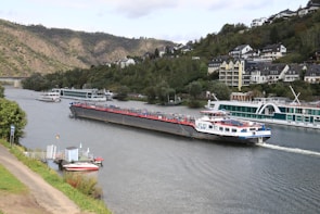 A river scene featuring large cargo and passenger vessels moving along the waterway. Hills covered with greenery and scattered residential buildings form the background. A small dock and a red speedboat are visible along the shoreline.