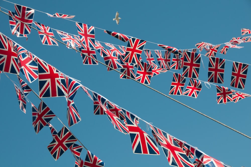 a bunch of flags that are hanging in the air