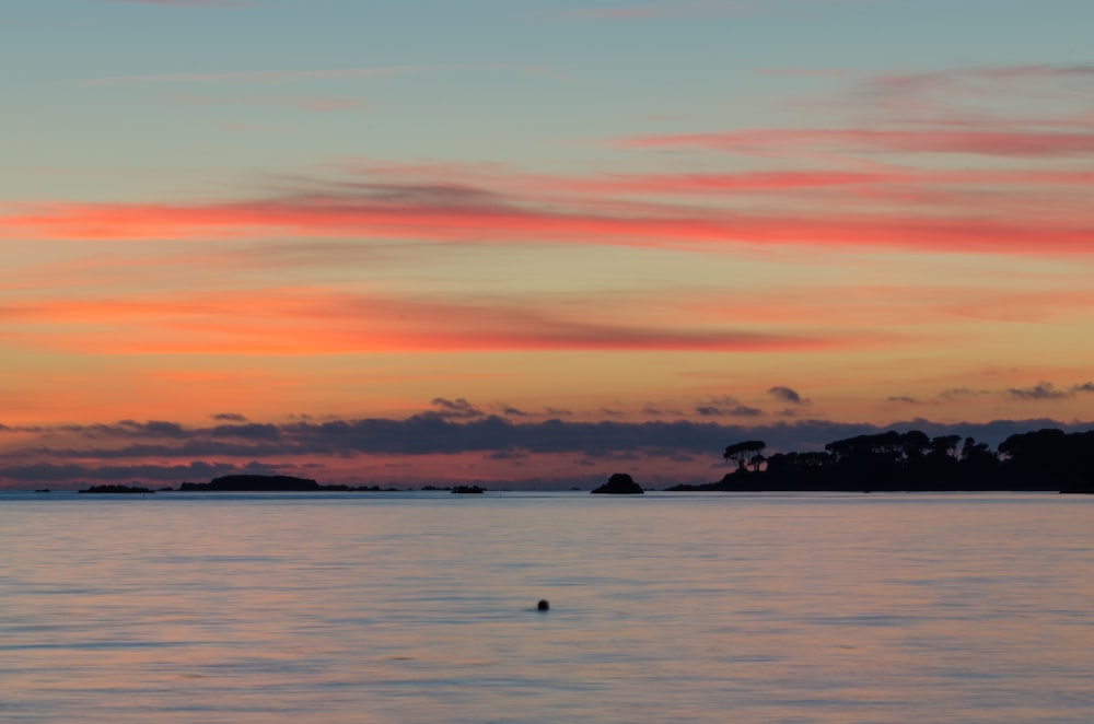 a sunset over a body of water with trees in the background