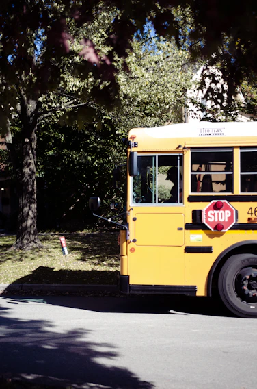 A bright yellow school bus stopping at a suburban neighborhood lined with maple trees in autumn.