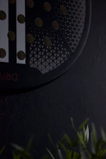 Close-up of a modern shower head with water droplets glistening.