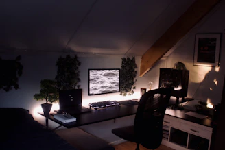 A friendly technician assisting a homeowner with computer setup in a cozy living room.
