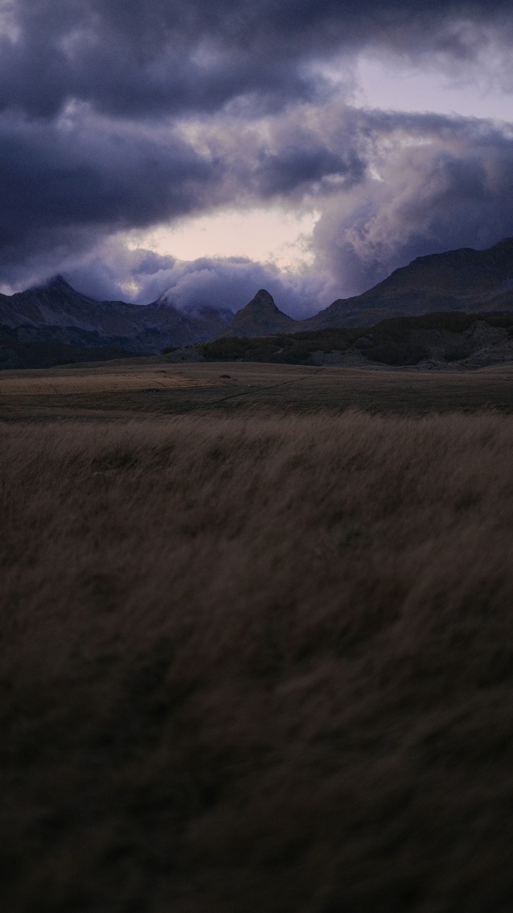 un campo erboso con montagne sullo sfondo