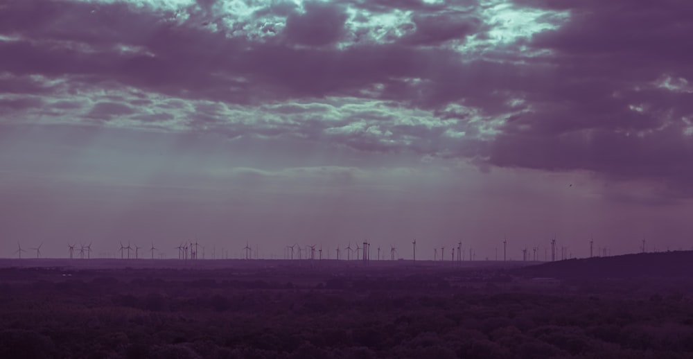 a field with a lot of wind mills in the distance