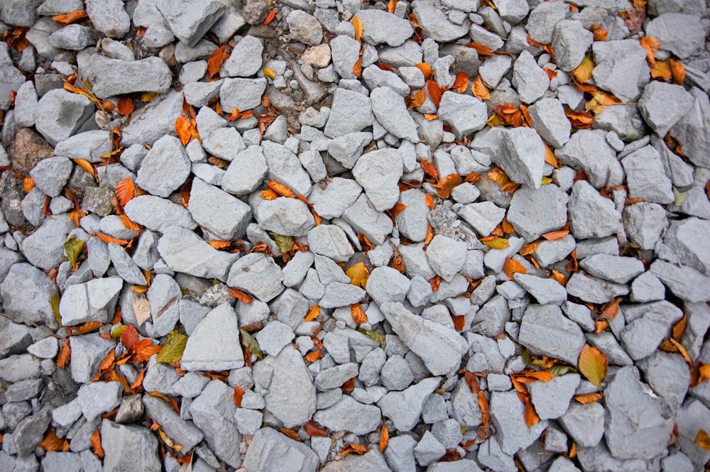 a pile of rocks with orange leaves on them