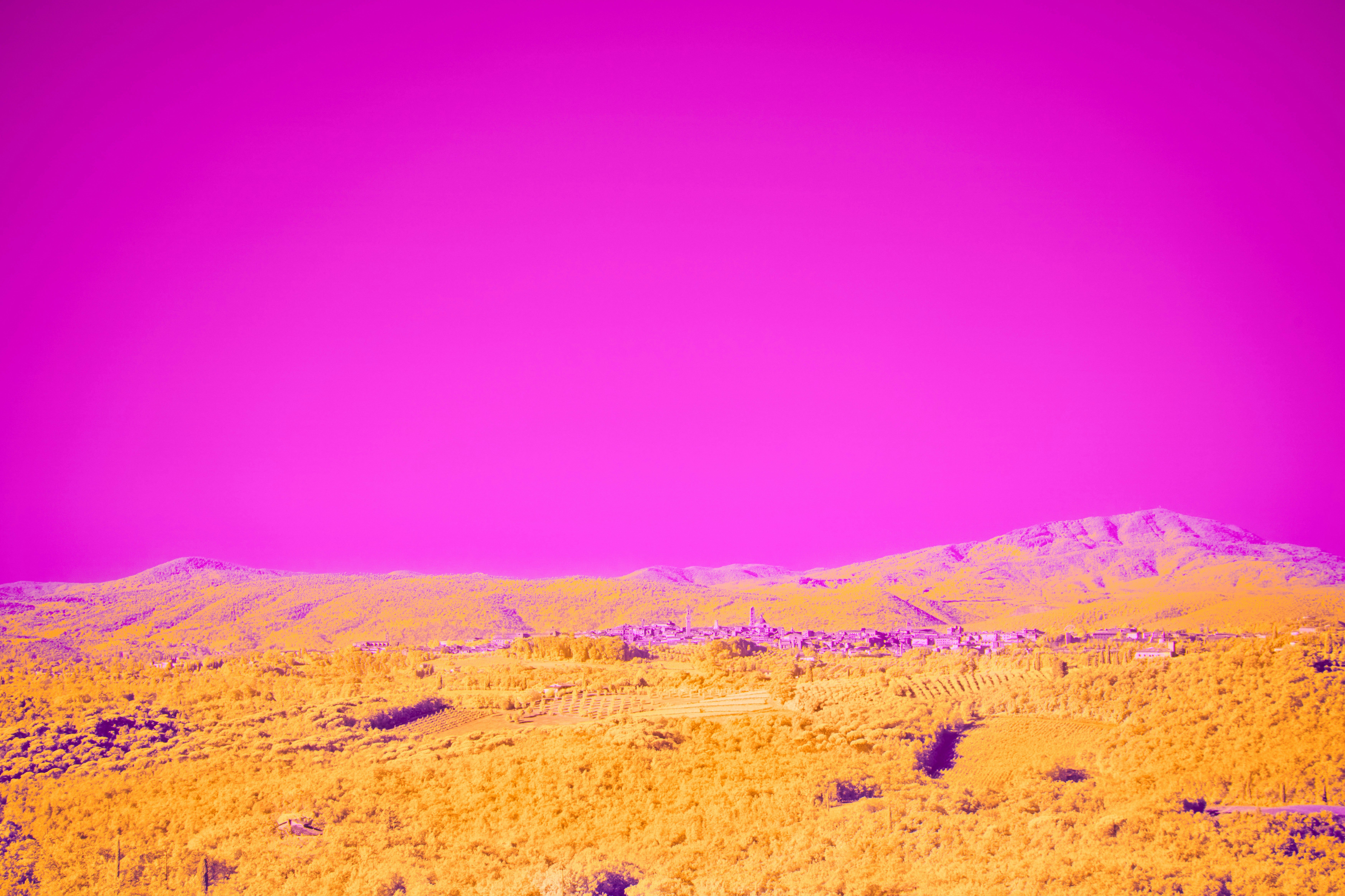 Photo by wolfgang_hasselmann