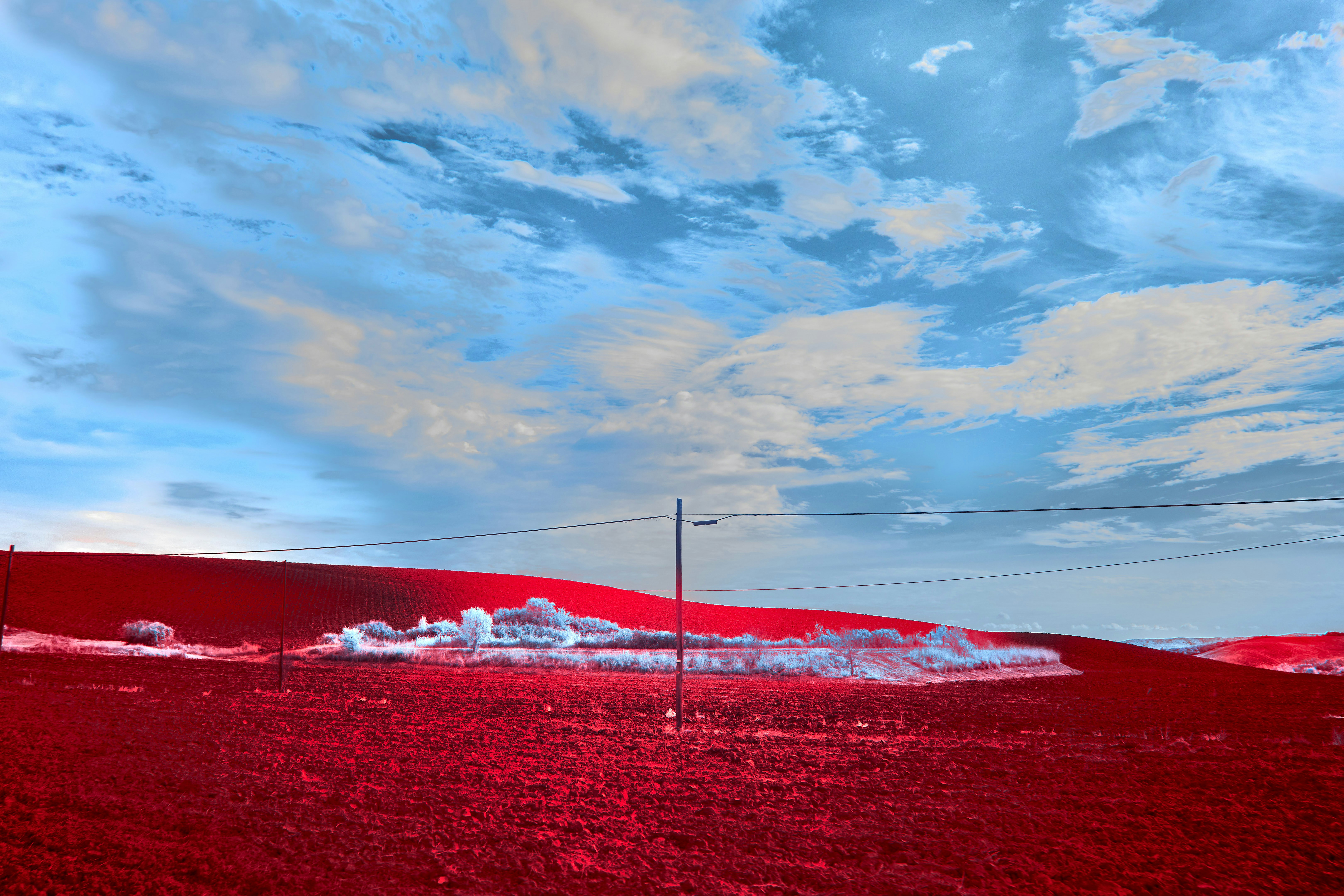 Photo by wolfgang_hasselmann