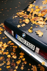 A car with a German license plate is partially covered with yellow and orange autumn leaves. The car is parked on a wet road, and more leaves are scattered around on the ground. The vehicle is a dark blue BMW.