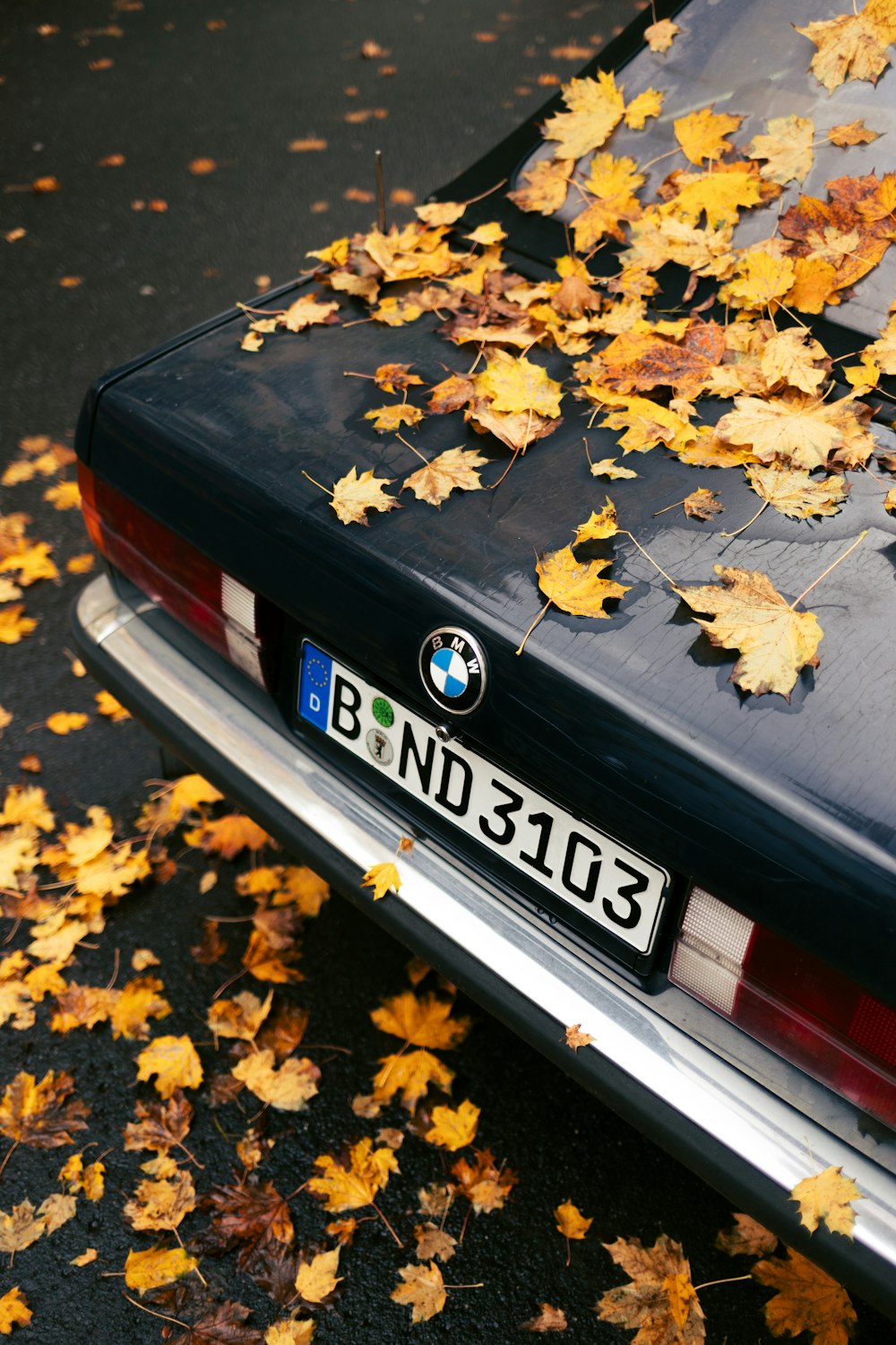 a bmw parked on the side of a road covered in leaves