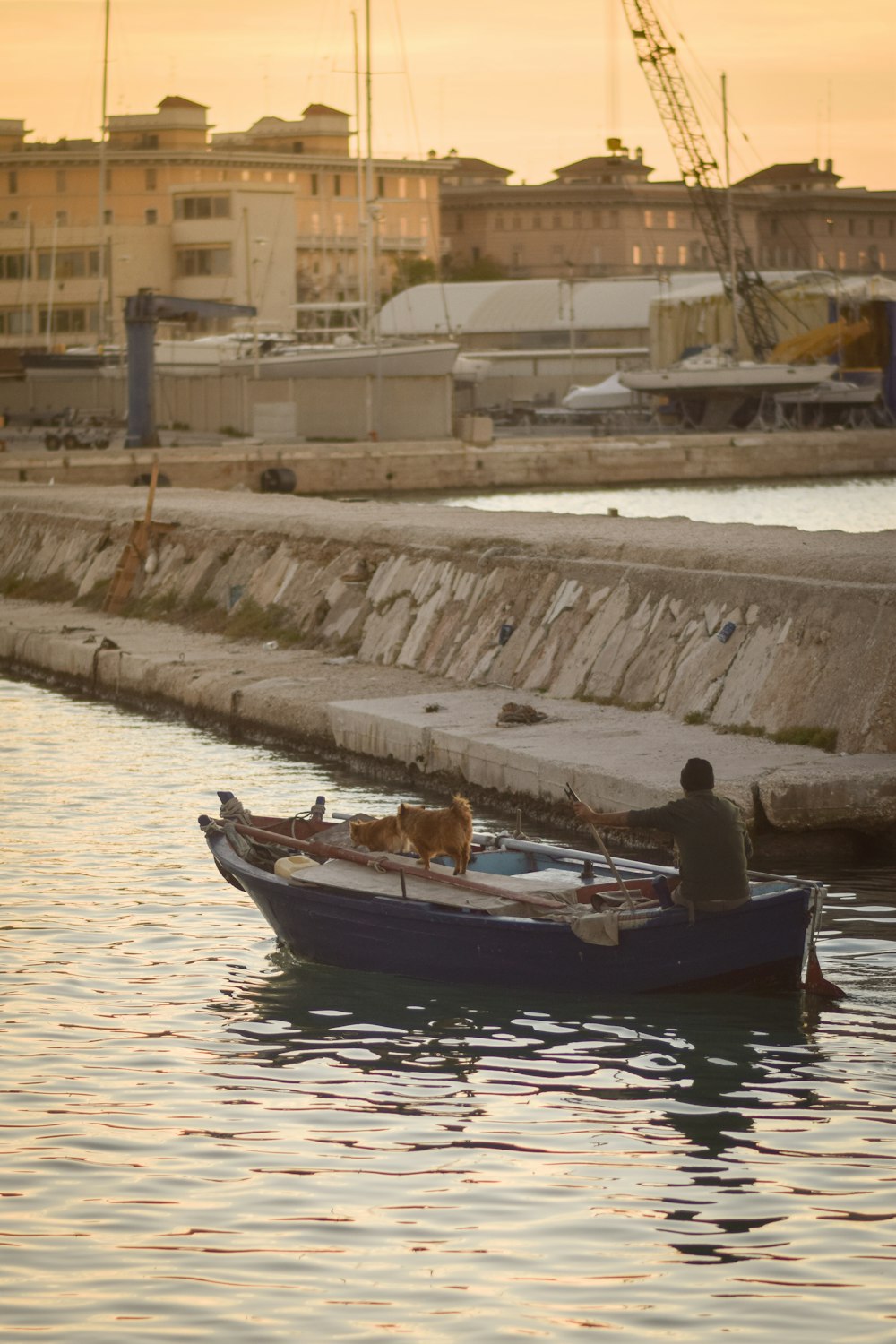 a man and a dog in a small boat
