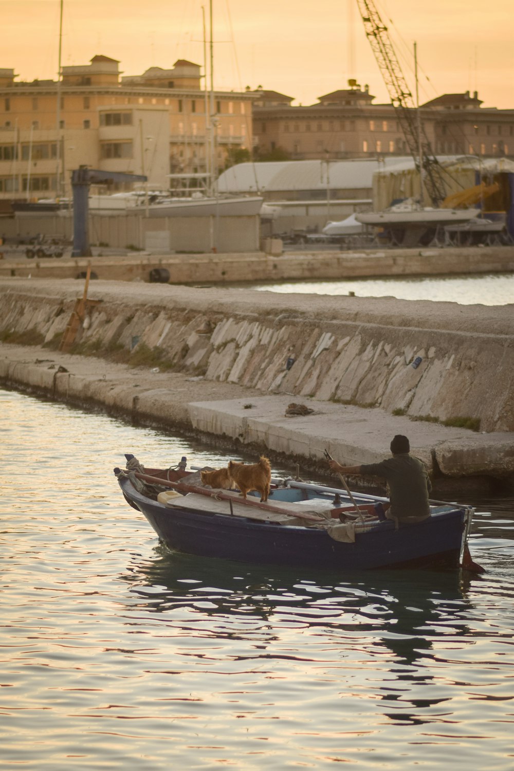 um homem e um cachorro em um pequeno barco