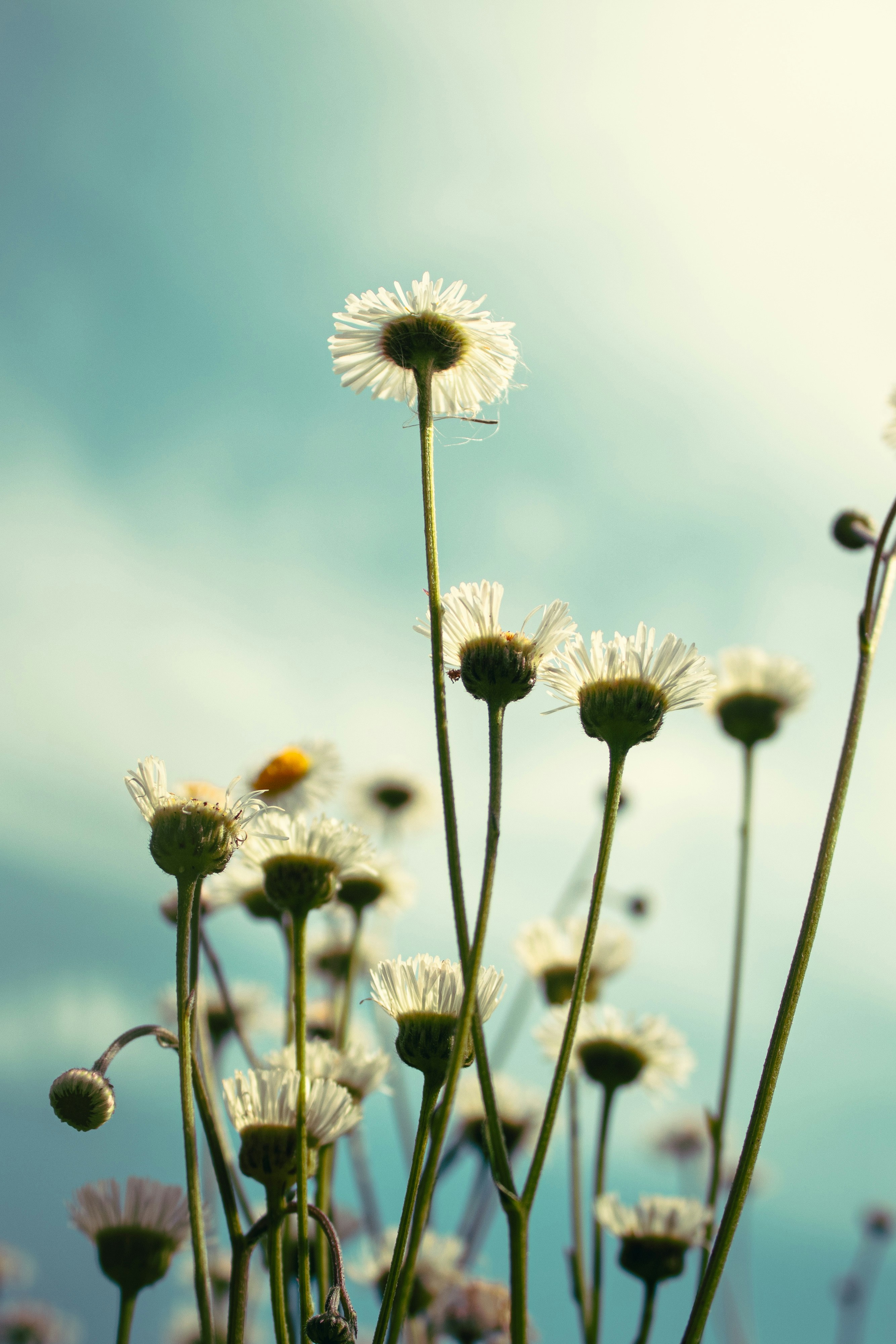 Photo by zjphotography