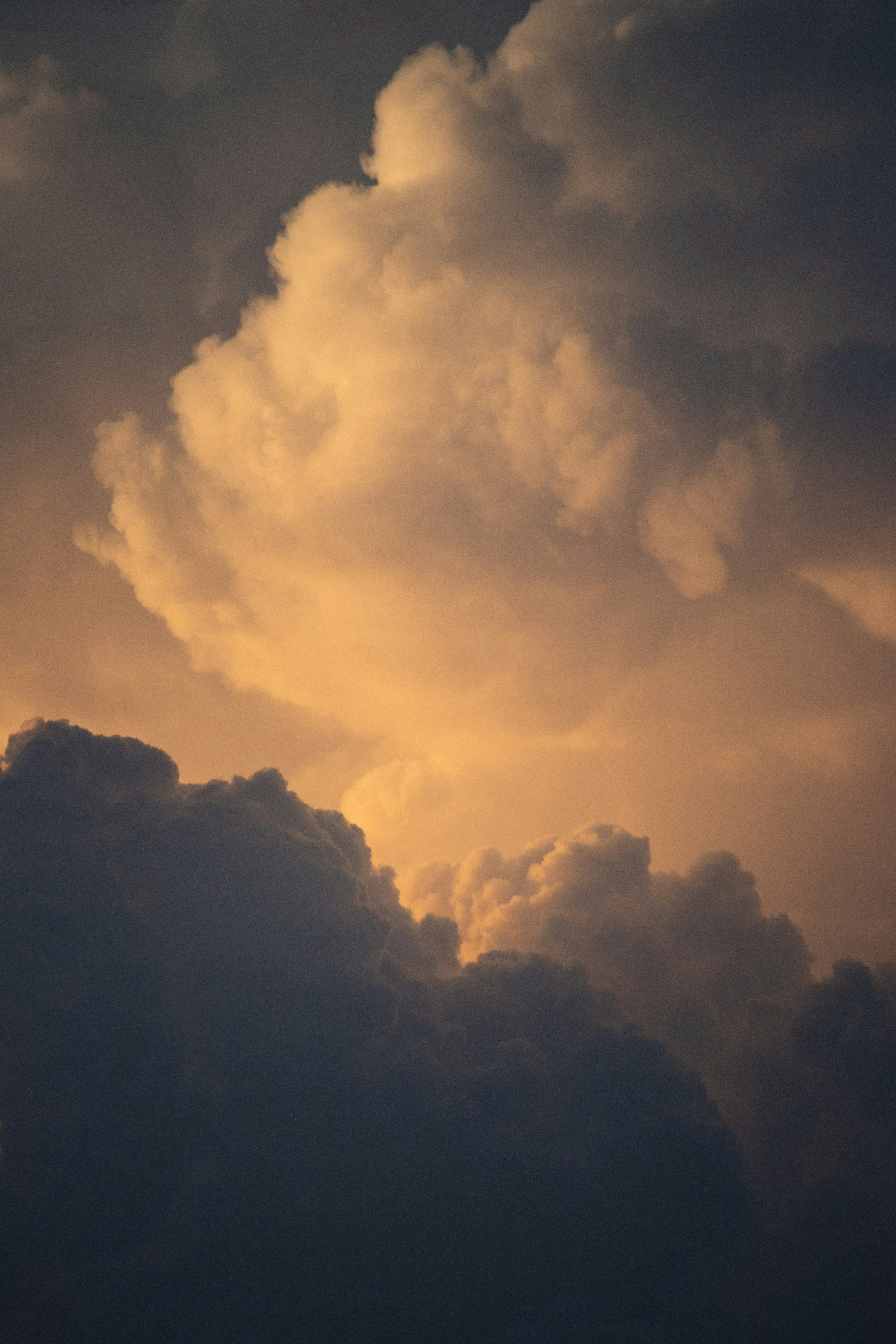 Photo by zjphotography